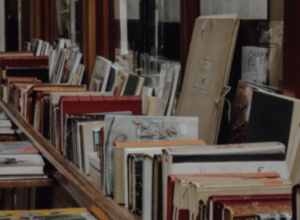 día libro