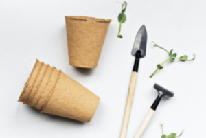 macetas biodegradables