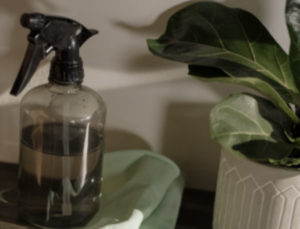 Limpia productos ecológicos